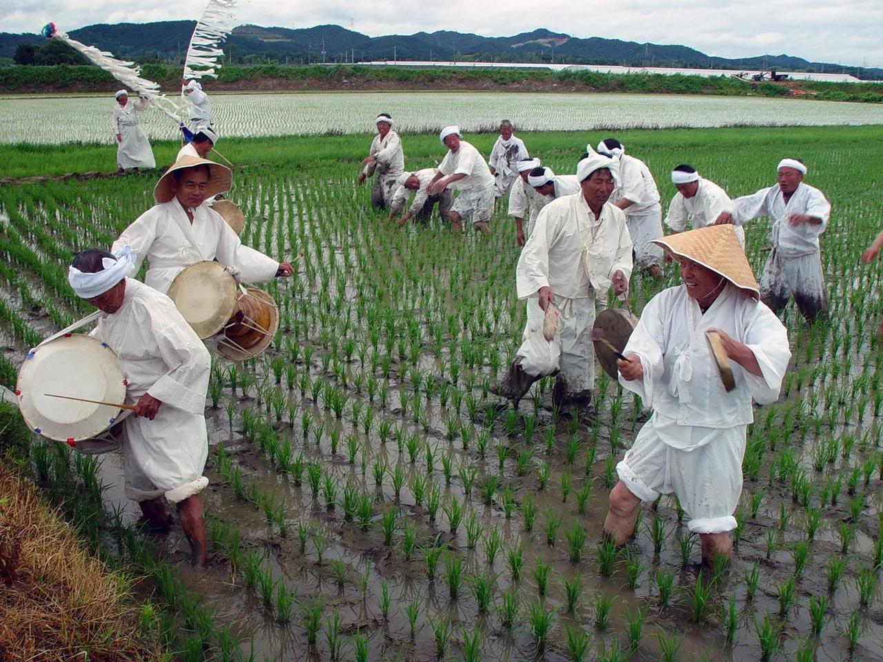多次被外国申遗的韩国非物质文化,韩国申遗成功的中国文化有哪些