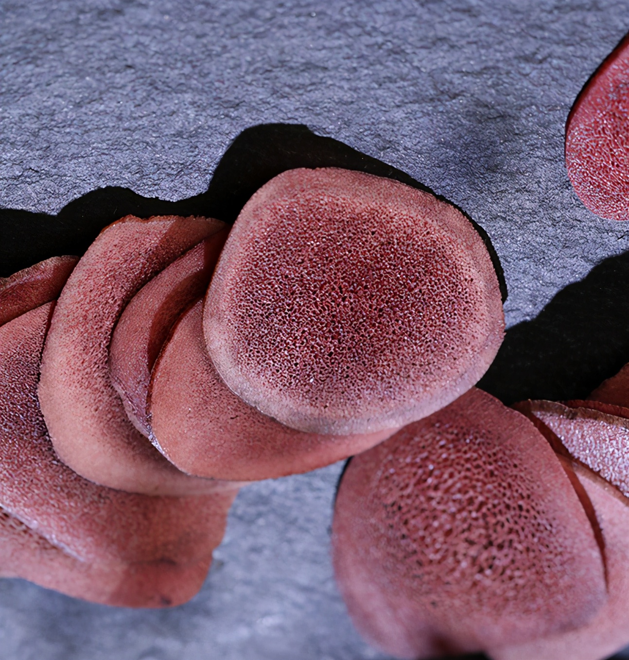 鹿茸片你买对了吗?学习一下再下手吧