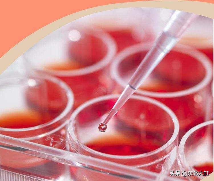 抗氧化最强的虾青素食物,虾青素强大的天然抗氧化剂