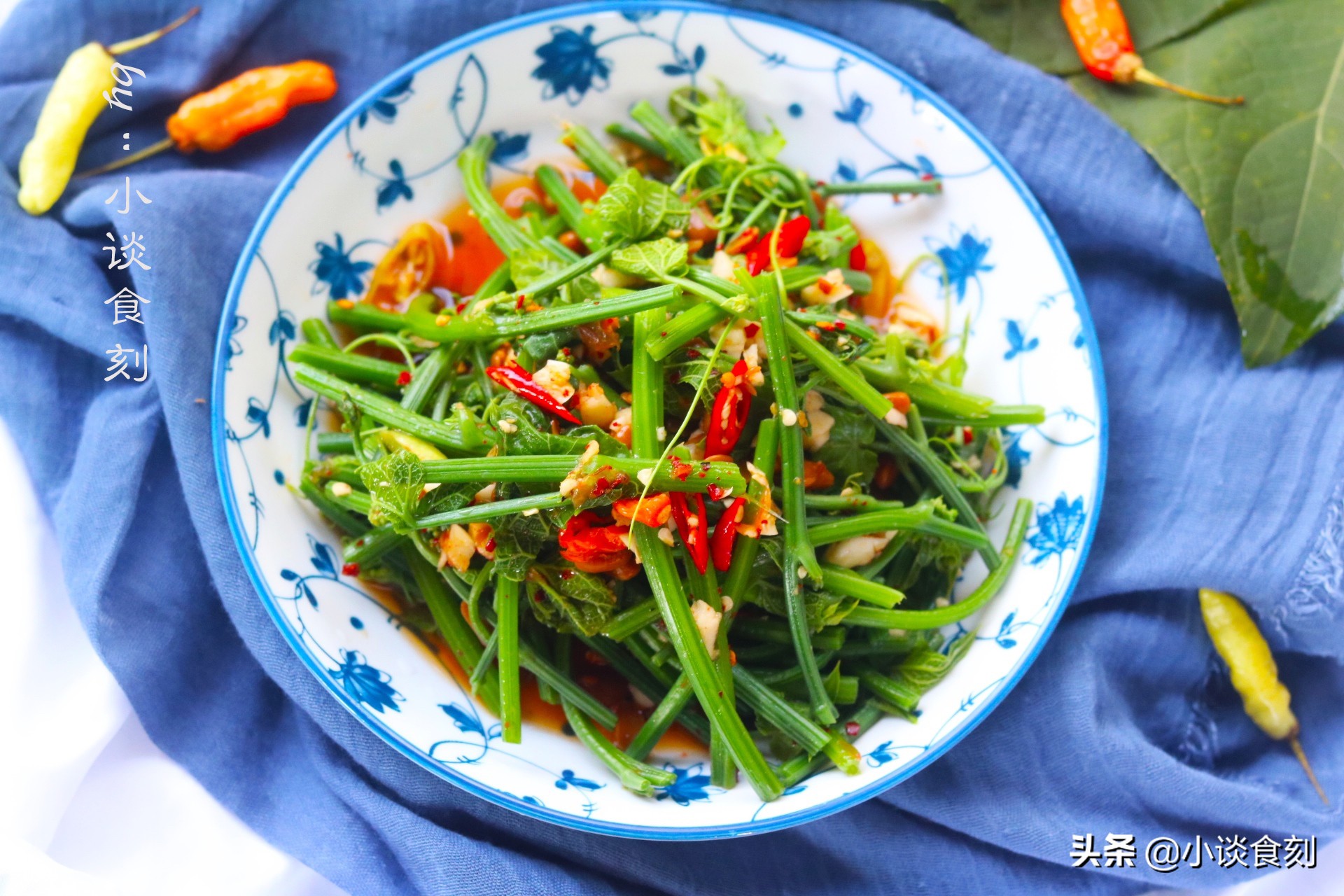 凉拌什么苗好吃又营养呢,什么菜苗可以凉拌好吃