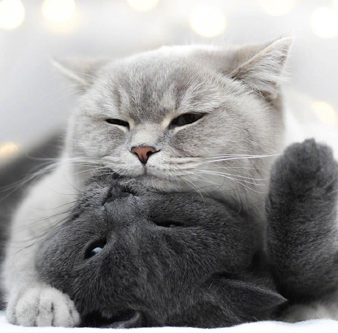 心理学：为潜意识平反