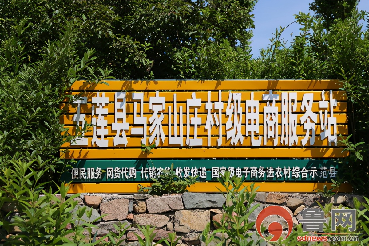 日照索隆,日照绿茶价格表