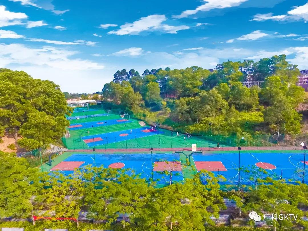 遇见二次元的你,遇见你二次元角色