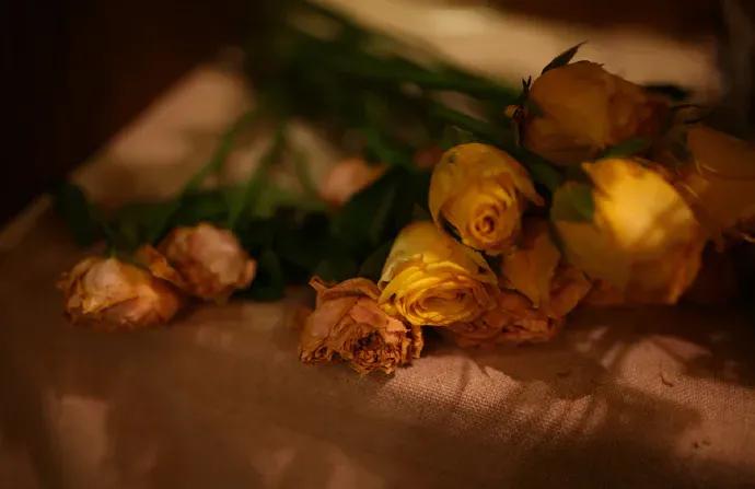 沄智心理:“恐惧”的情绪背后