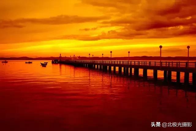 拍夜景鸟的正确方法,拍摄鸟类摄影欣赏