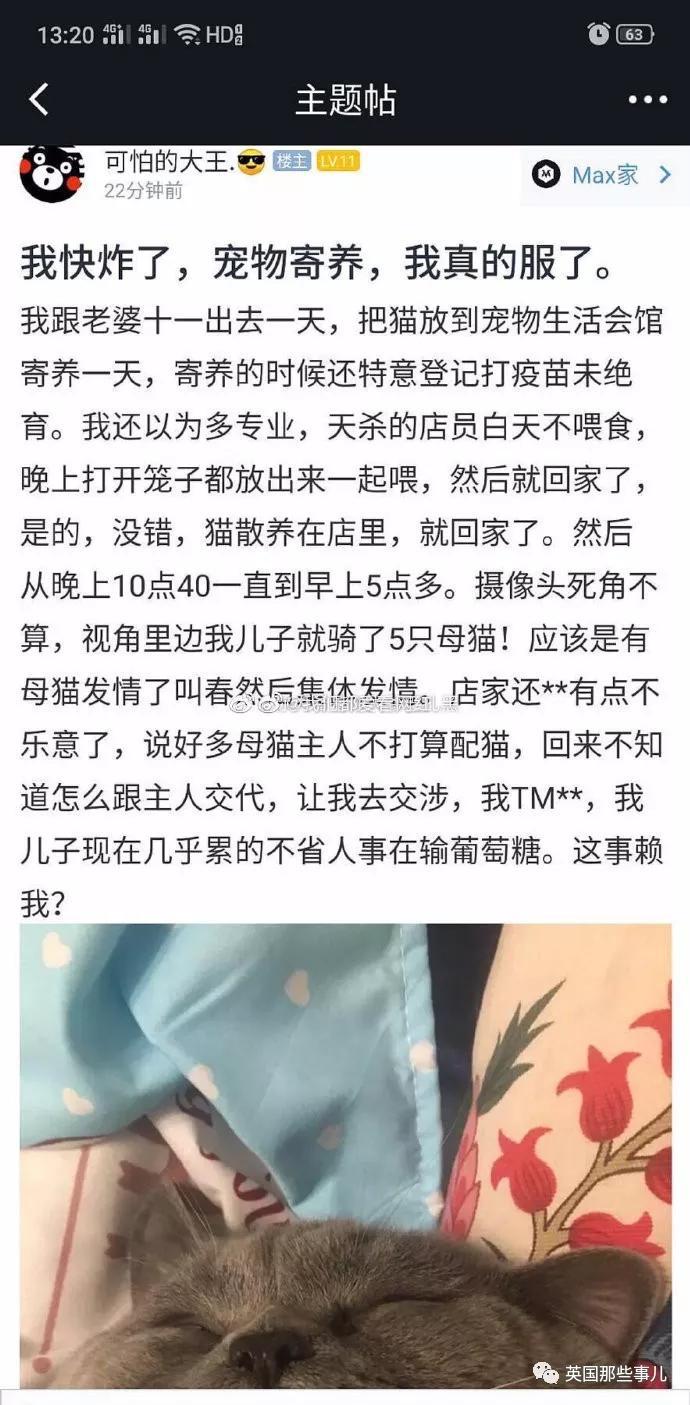 一晚啪了5只喵,累到在医院打点滴,这中国喵把英国人看傻了