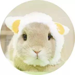 关于古董漆器小件，贾松都分享了什么？｜新室相