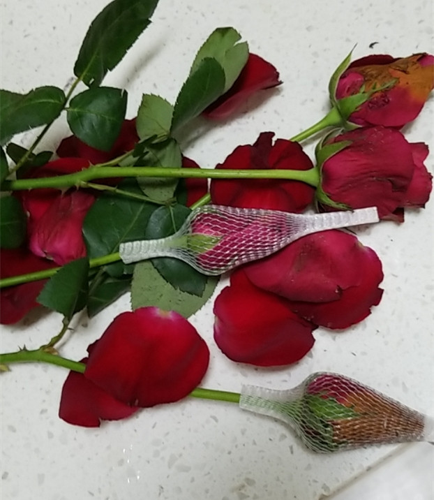 花徒日记:花店一件代发挣钱吗?请各位店主谨慎选择