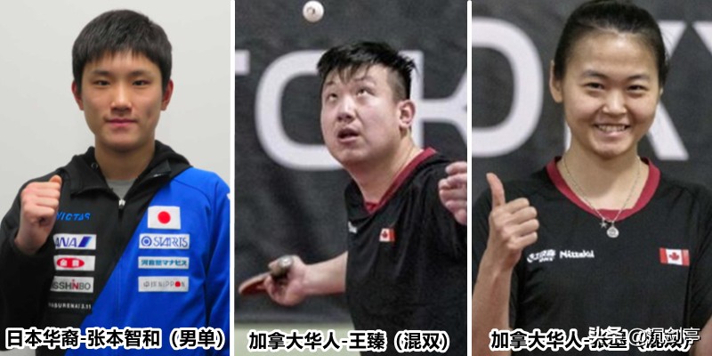 东京奥运运动员的英语,东京奥运会上的华裔