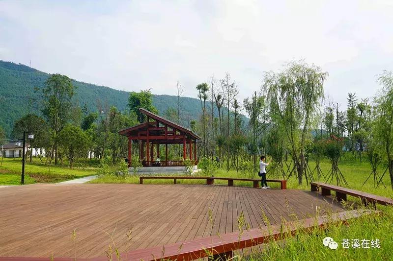 苍溪湿地公园有什么,苍溪最新湿地公园