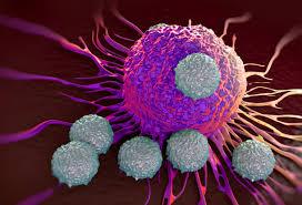 实现癌症慢性病治疗,癌症新药根治癌症