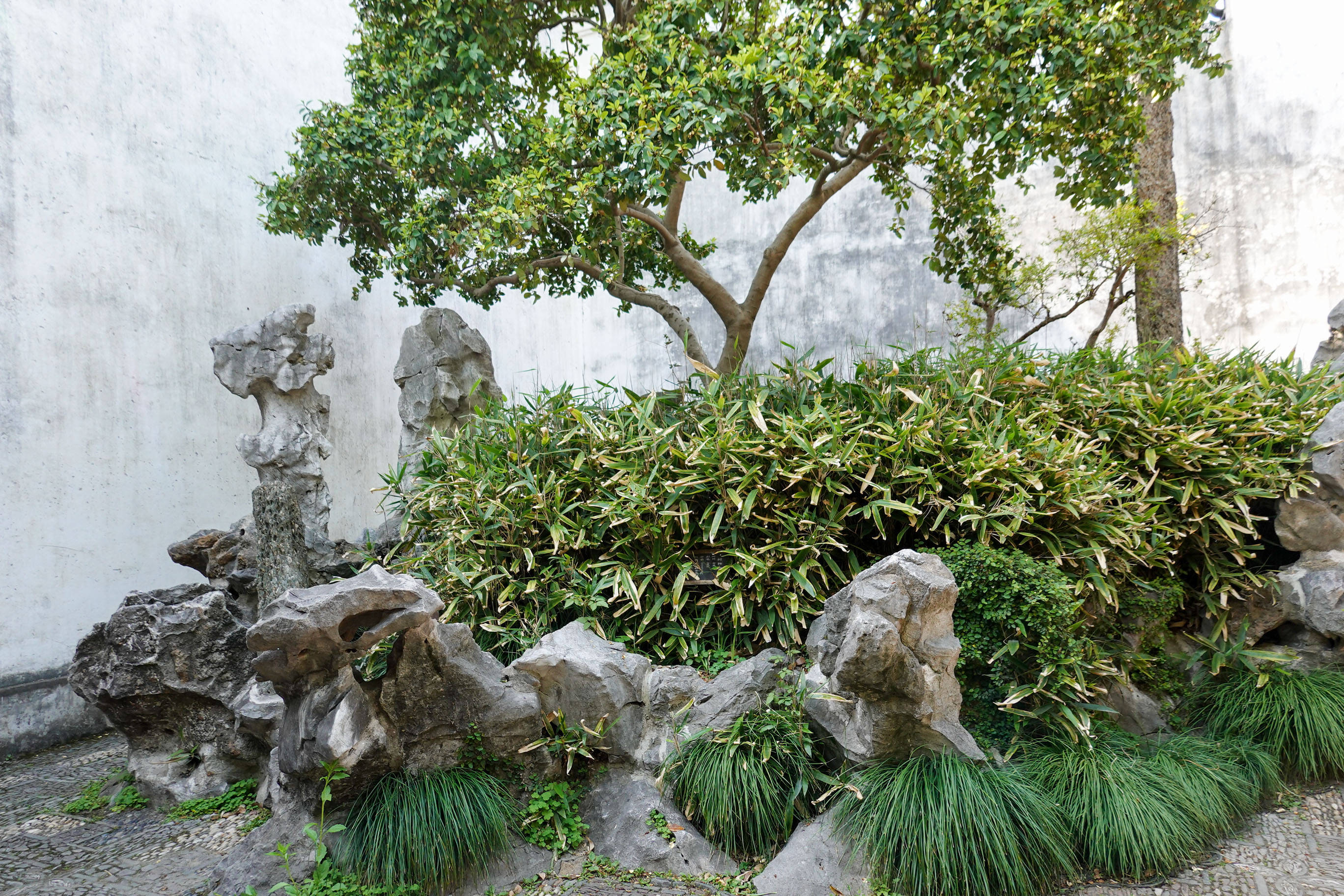 鑻忓窞鏃呮父灏忎紬鏃呮父鏀荤暐,鑻忓窞鏃呮父鏀荤暐灏忎紬鏅偣鎺ㄨ崘