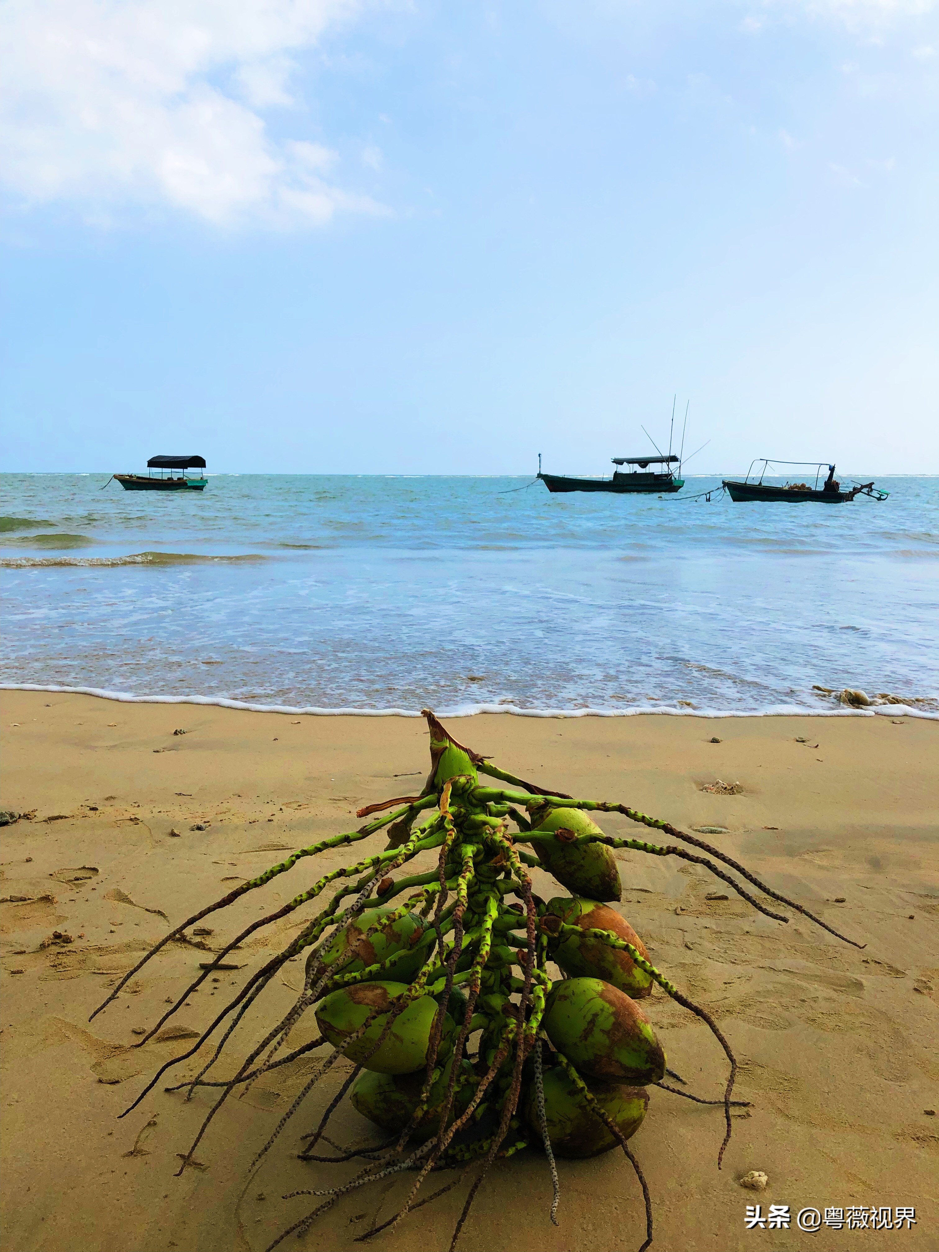 海南岛文昌自驾游攻略,海南文昌椰林湾自驾游攻略