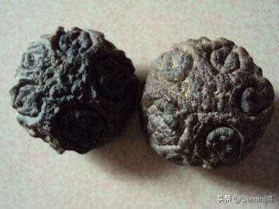 鬼脸核桃盘花了还能补救吗,文玩鬼脸核桃怎么上色快