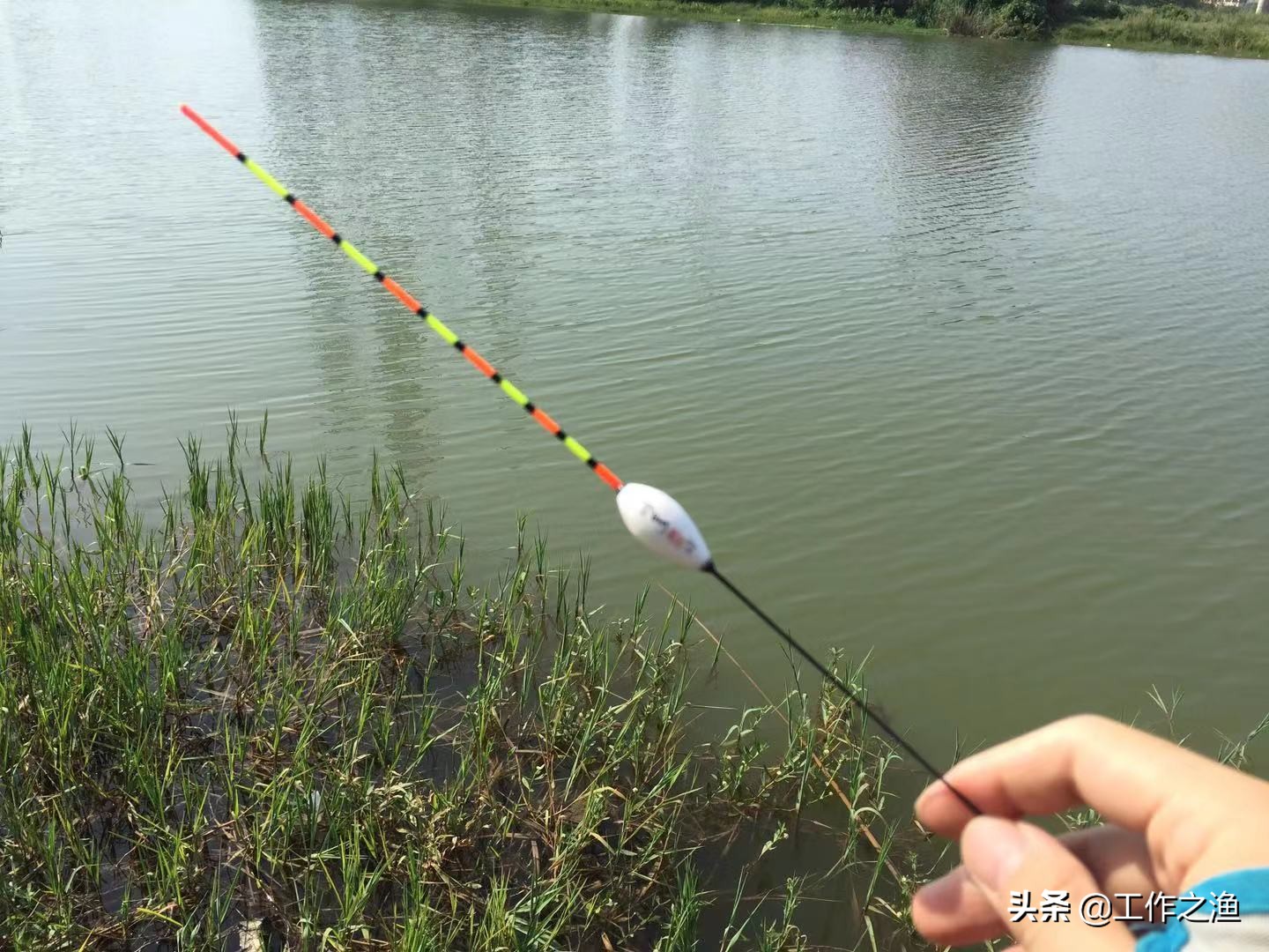 再好的饵料下不去竿也钓不好鱼,再好的饵料也不如活饵