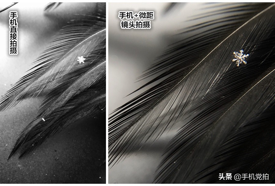 手机拍摄雪花的正确方法,手机拍雪花微距