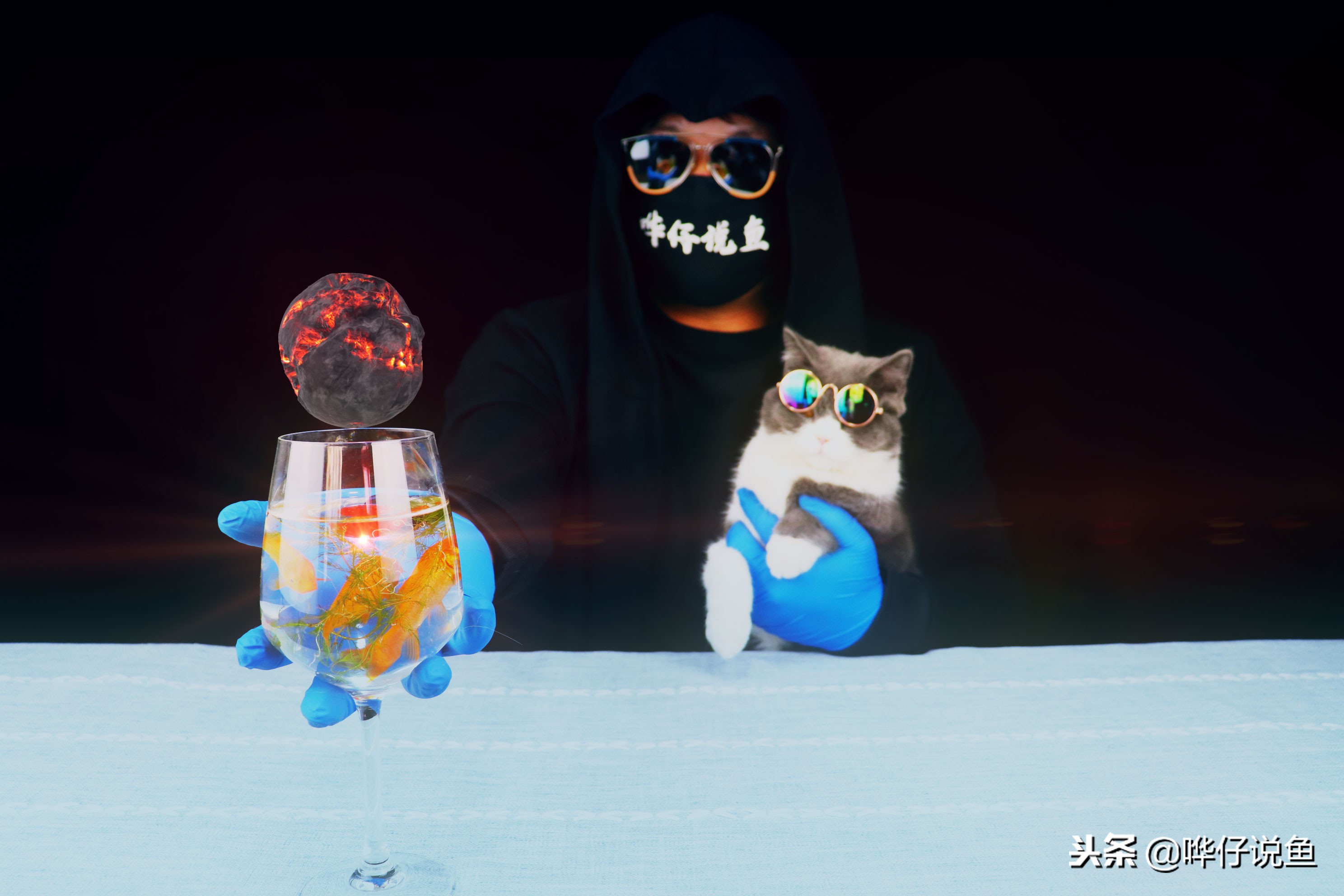 宠物鱼最大的鱼第一名,最新排名前十的宠物