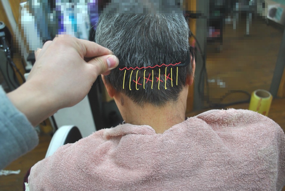 遮盖白发假发真发,遮白发神器假发无刘海