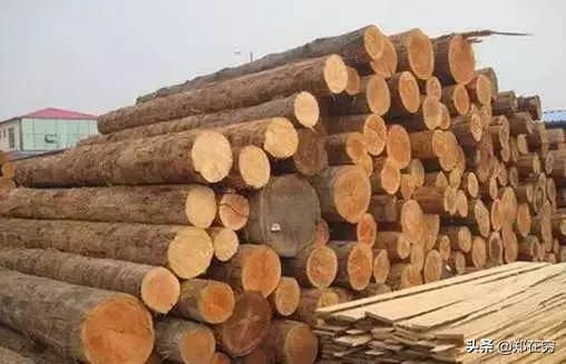 带你认识两种实木家具榫卯结构,带你认识100种鸟