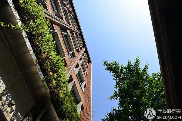 只选一只人像定焦镜头推荐,为什么专业摄影师都喜欢定焦镜头