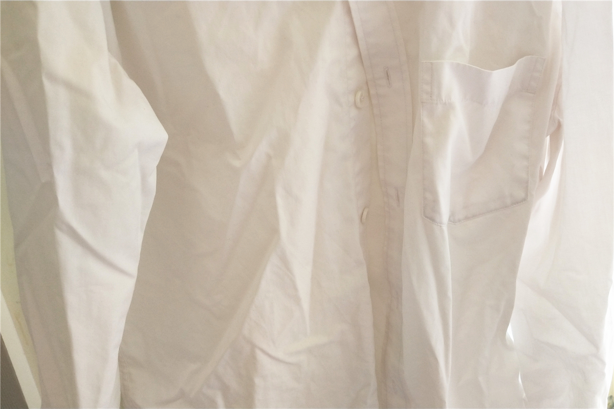 卓力蒸汽挂烫机,家庭用全自动蒸汽挂烫机