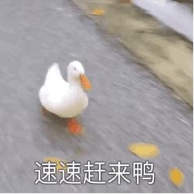 鞠婧祎鼻子有多漂亮,如何变成鞠婧祎同款鼻子