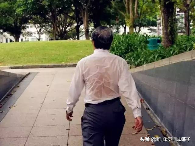 新加坡冻成狗,新加坡狂风暴雨来袭