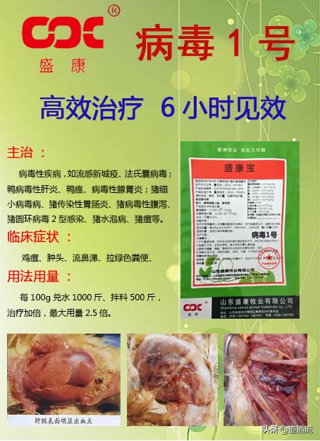 肉鸭脾坏死用什么药效果好,肉鸭12天出现一个脾坏死
