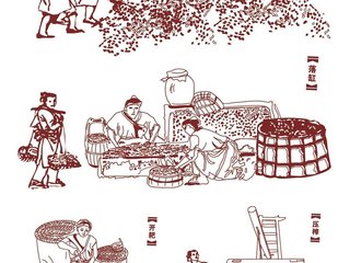 了解一下酒的工艺,了解各种香型的酒