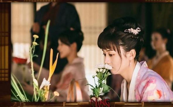 含花的诗句大全飞花令,飞花令花诗句1000句