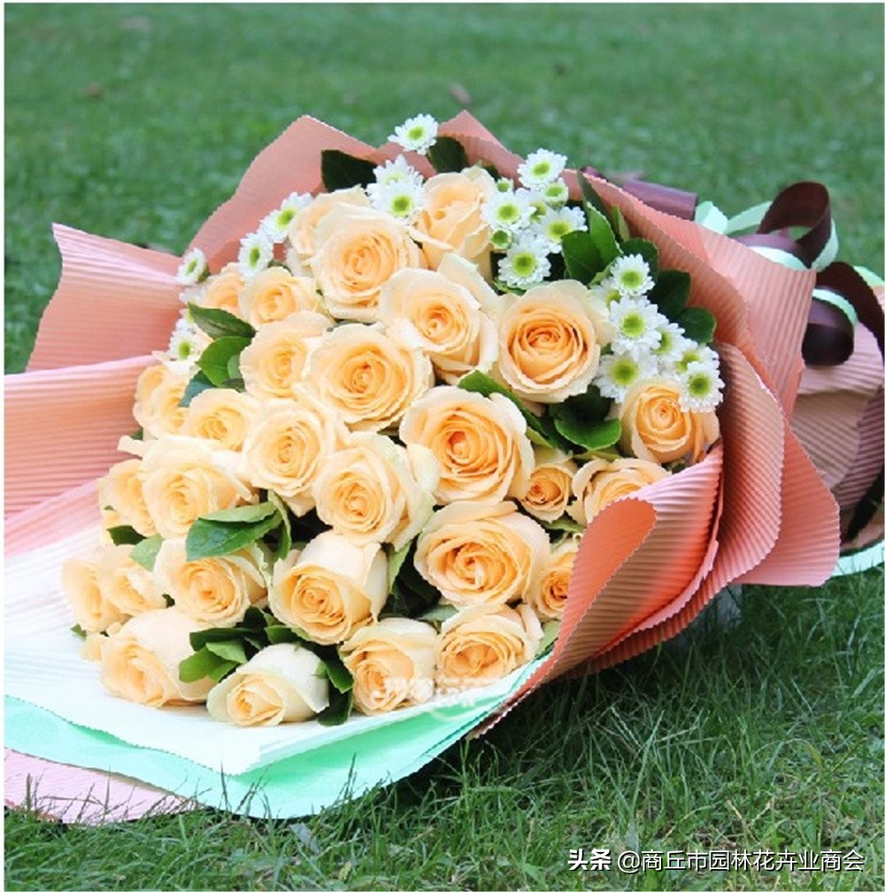 黄玫瑰和香槟玫瑰组合,黄玫瑰也是香槟玫瑰吗