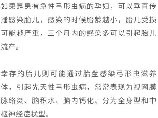 怀孕养宠物，能养，猫狗没有“弓形虫”没问题