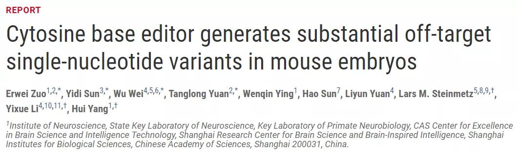 85后科学家杨辉开挂的科研之路,85后科学家杨辉简介