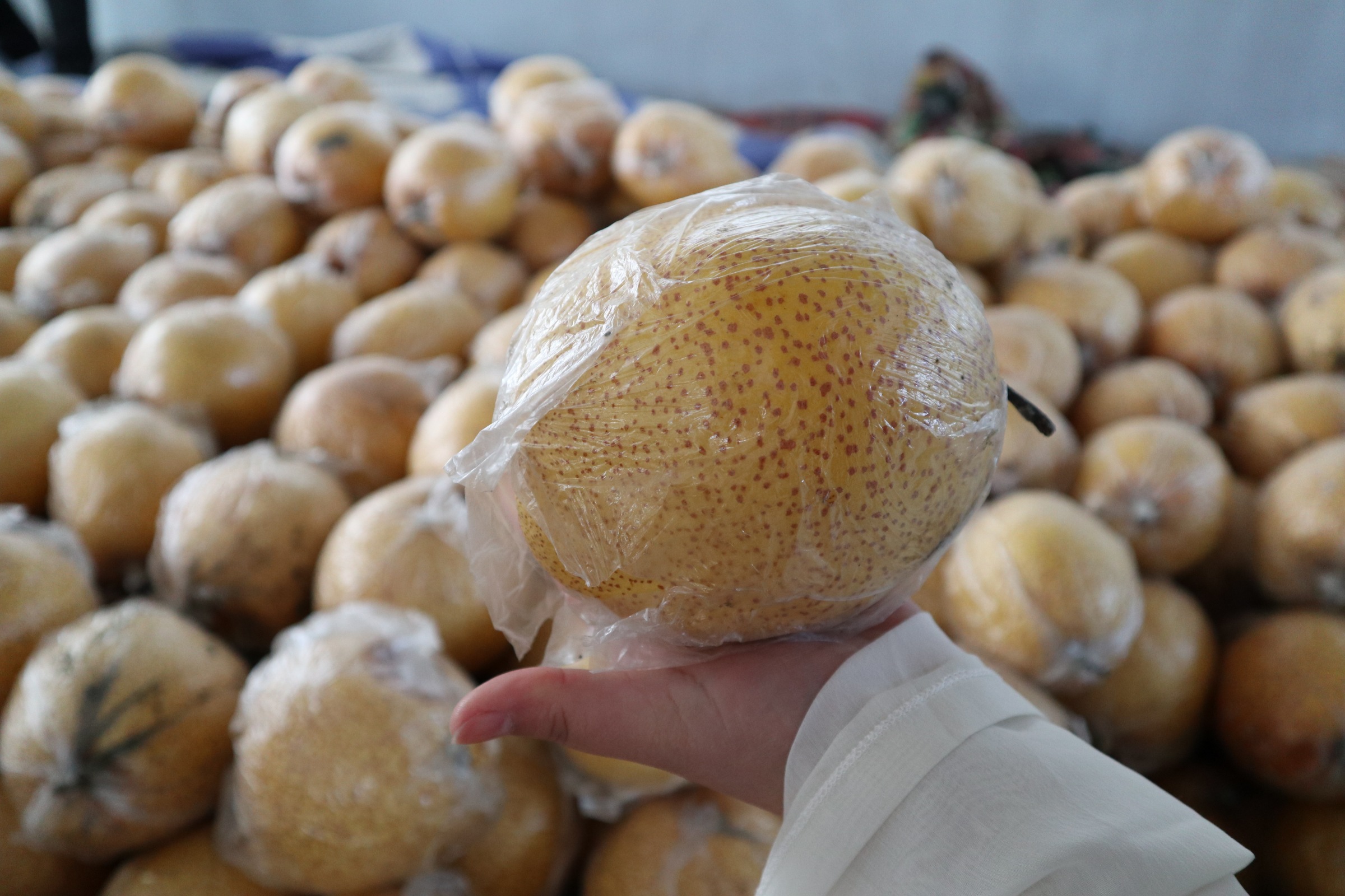 昌邑好吃的美食小店,昌邑有什么好吃的美食吗