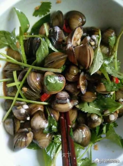 蛤蜊牡蛎蚬子,蛤蜊蚬子蛏子区别