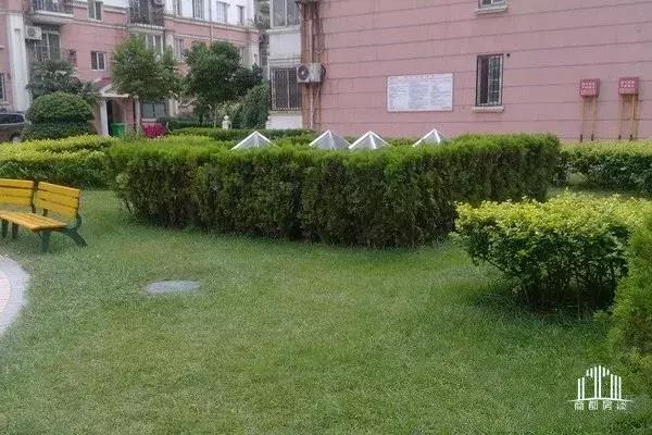 郑州各县区教育排名,郑州各区教育资源大比拼