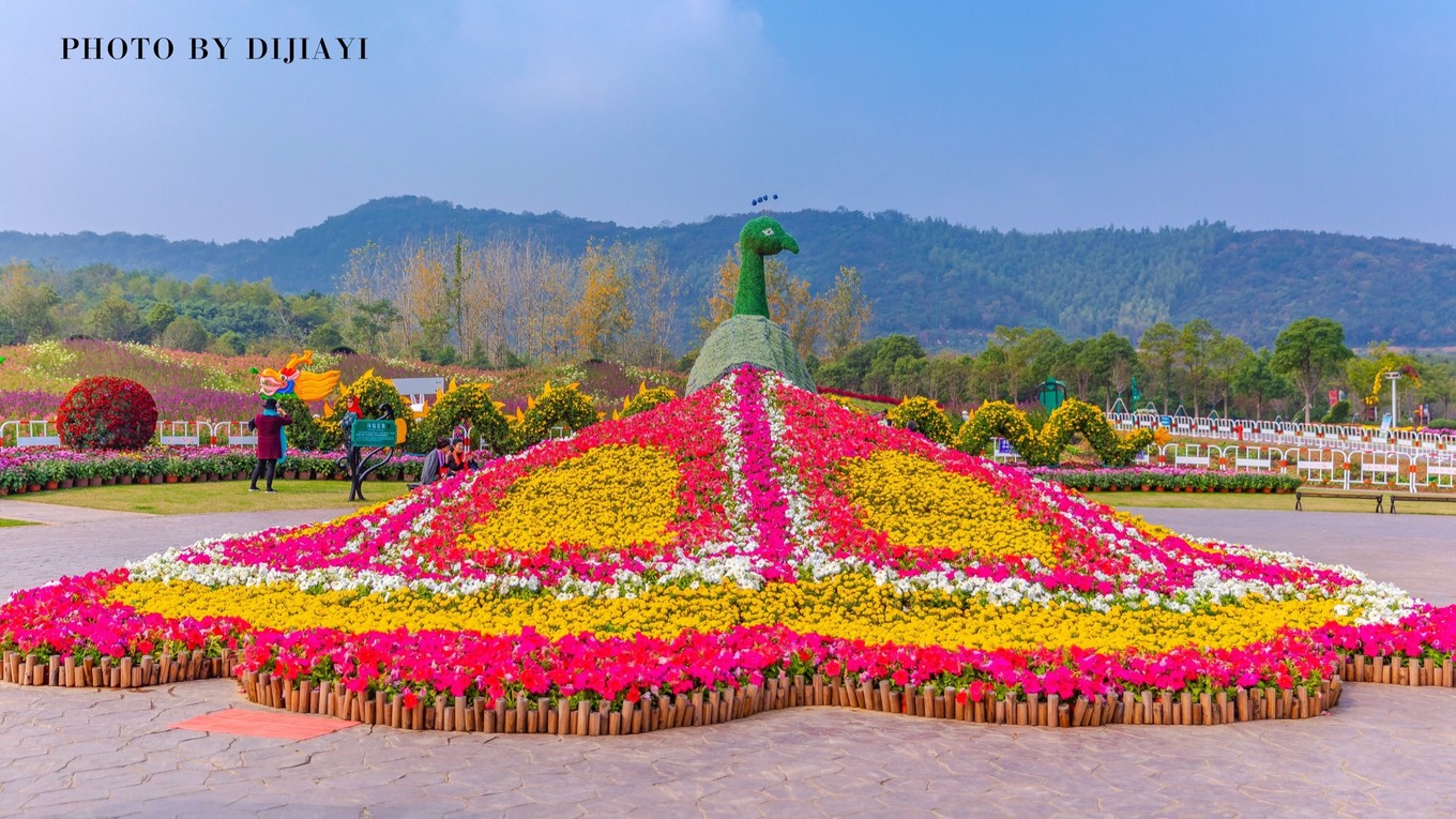 金坛花谷奇缘有什么地方值得打卡,金坛花谷奇缘赏花攻略