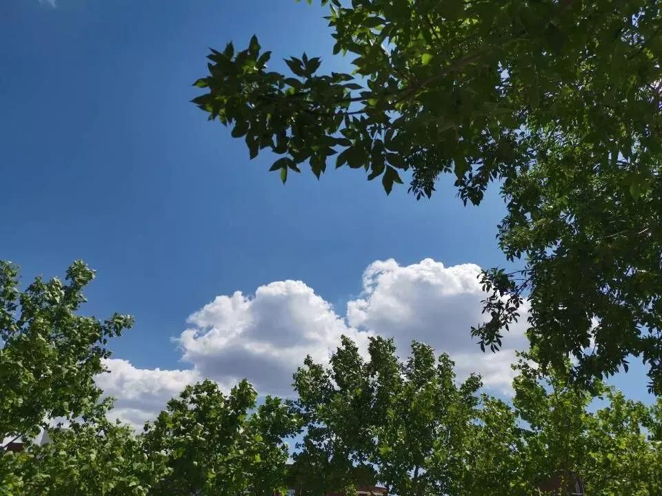 天津医科大学七所直属医院,天津医科大学独立学院是几本