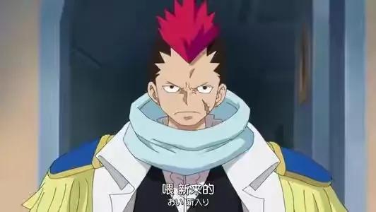 海贼王机械甲,海贼王里特殊的武器