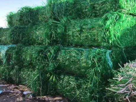 线上废品回收怎么赚钱,废品回收内幕大揭秘