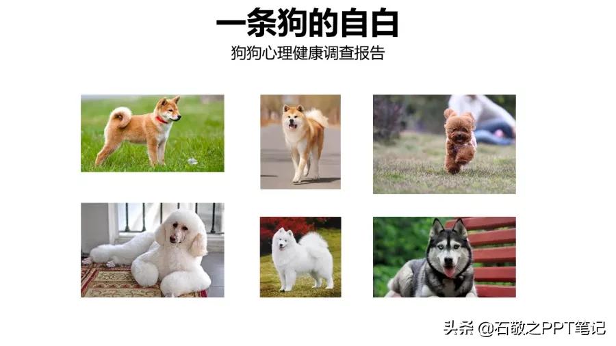 面对一堆渣图怎么办,这样做,废片也能变新颜