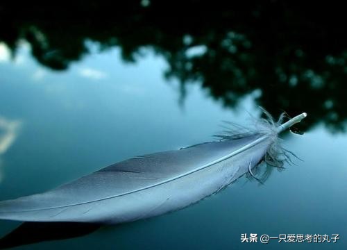 不能承受的生命之轻深度解读合集,不能承受的生命之轻详细解读