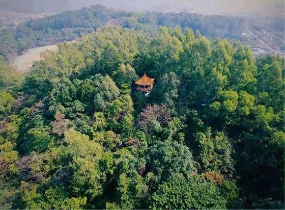 学考热门学校,学考热门专业院校