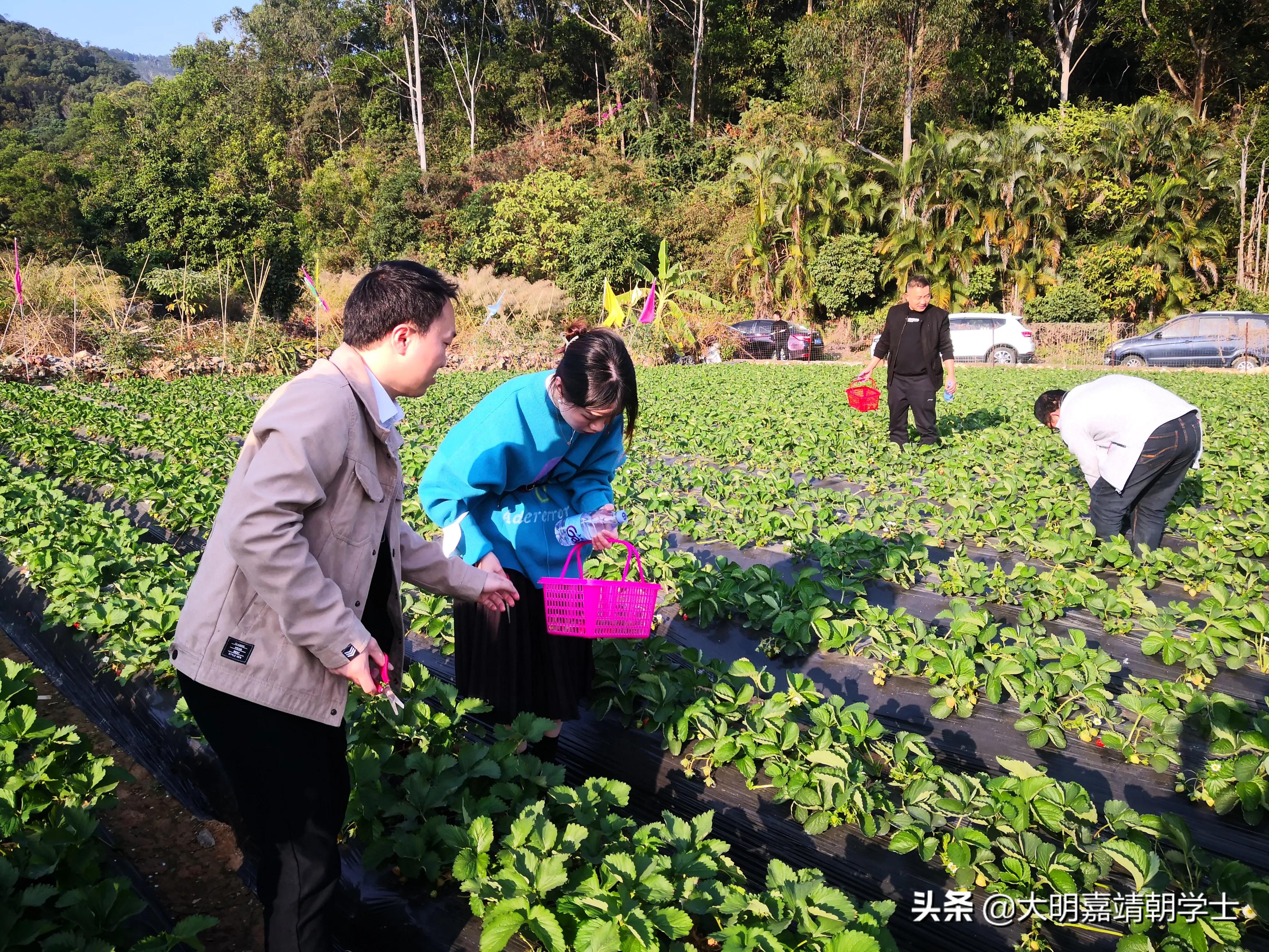 宜粤之家是什么,宜粤之家