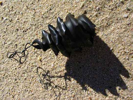 大海里面的鲨鱼到底有多可怕,如果鲨鱼灭绝了海洋会怎样