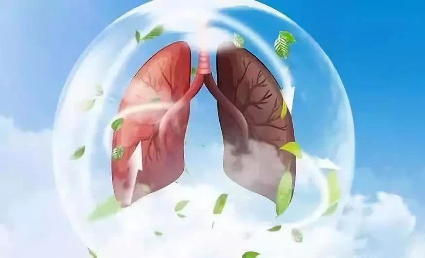 肺气不足和肺气虚如何调理,肺主皮毛肺气不足怎么办