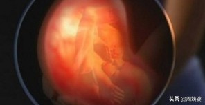 新生命如何诞生,新生命从哪开始的