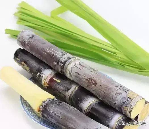 比毒蛇还毒的虫子,比毒蛇还要毒的东西