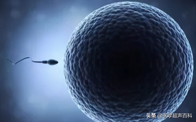 备孕检查优生优育什么时候去检查,优生优育备孕最佳方法