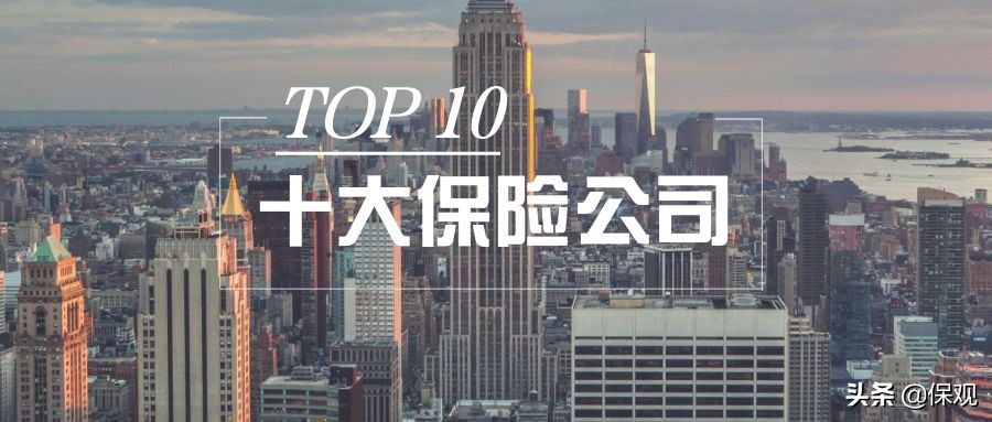 全球九家大到不能倒的保险公司,全球人寿保险公司排名前十名